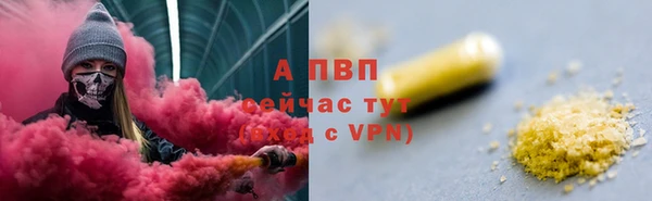 стафф Богородск