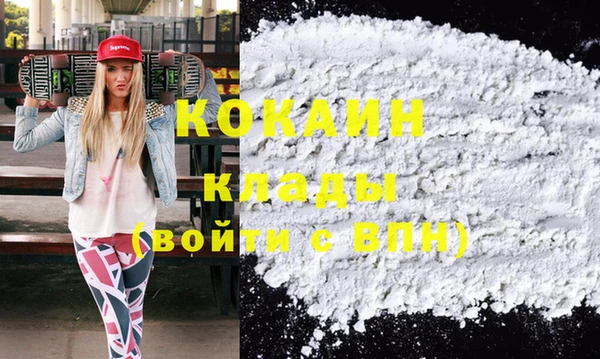 дживик Шадринск
