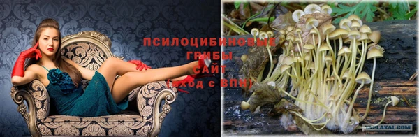 мефедрон мука Богданович