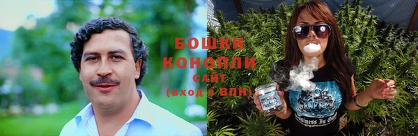 стафф Богородск