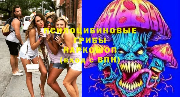 стафф Богородск