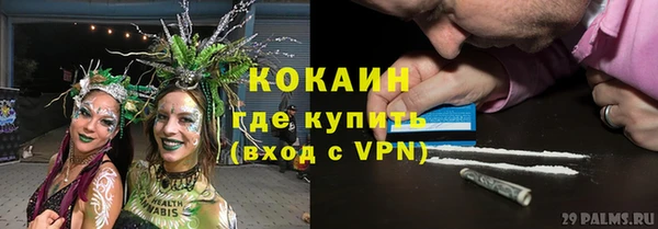 стафф Богородск