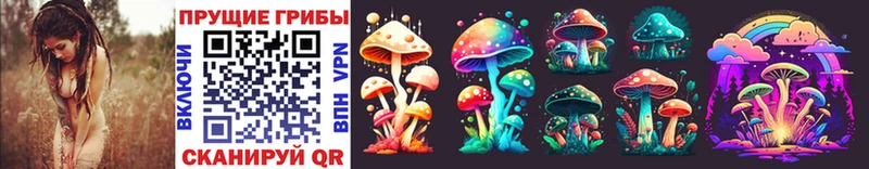 Галлюциногенные грибы Psilocybine cubensis  цена наркотик  OMG рабочий сайт  Староминская 
