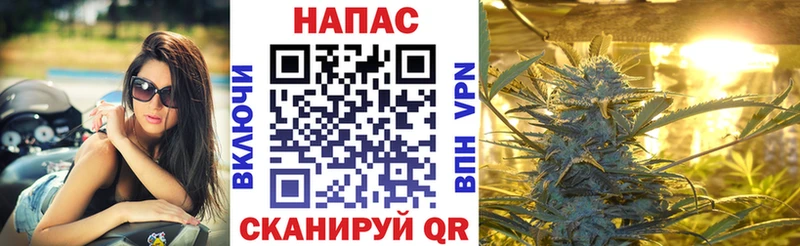 Шишки марихуана тримм  Староминская 
